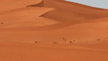 Sand Bathing