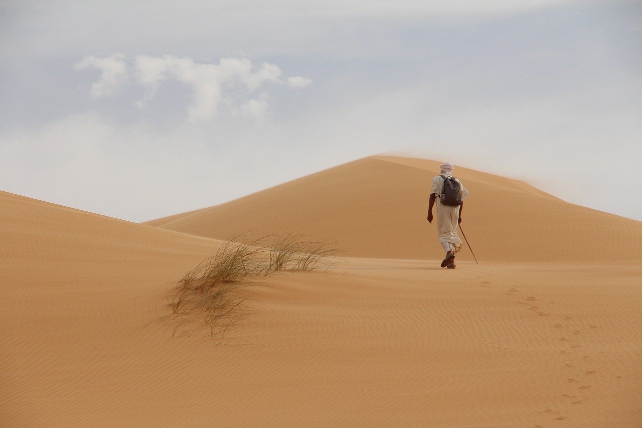 desert, sand, traveler-7162926.jpg