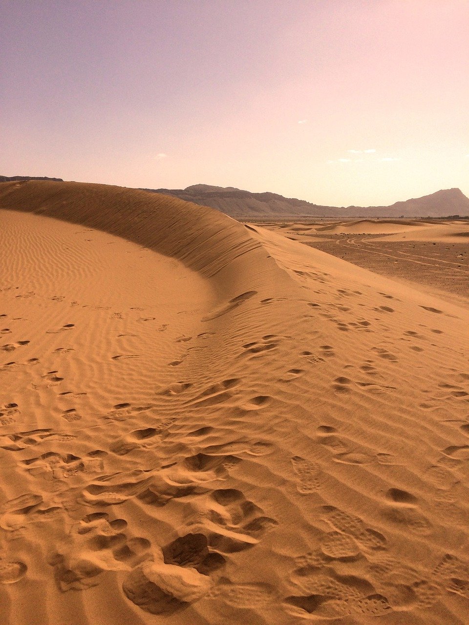 sahara desert, sahara, sand-4486163.jpg