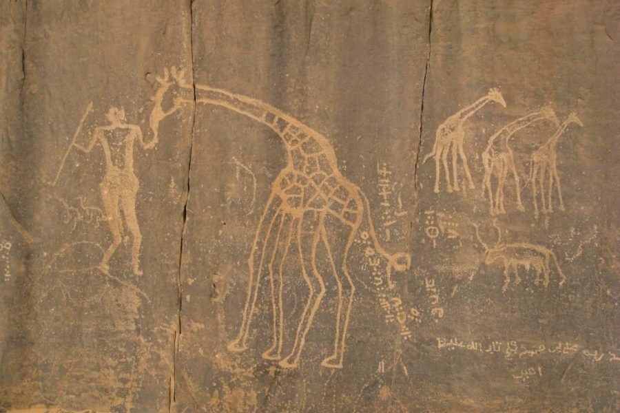 Tassili N’Ajjer & Djanet Tour